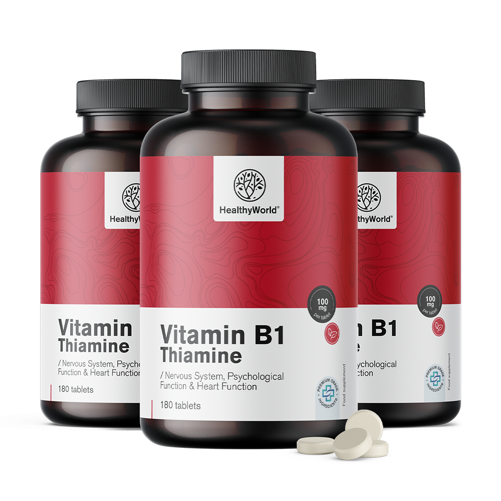 Vitamín B1 – thiamin 100 mg