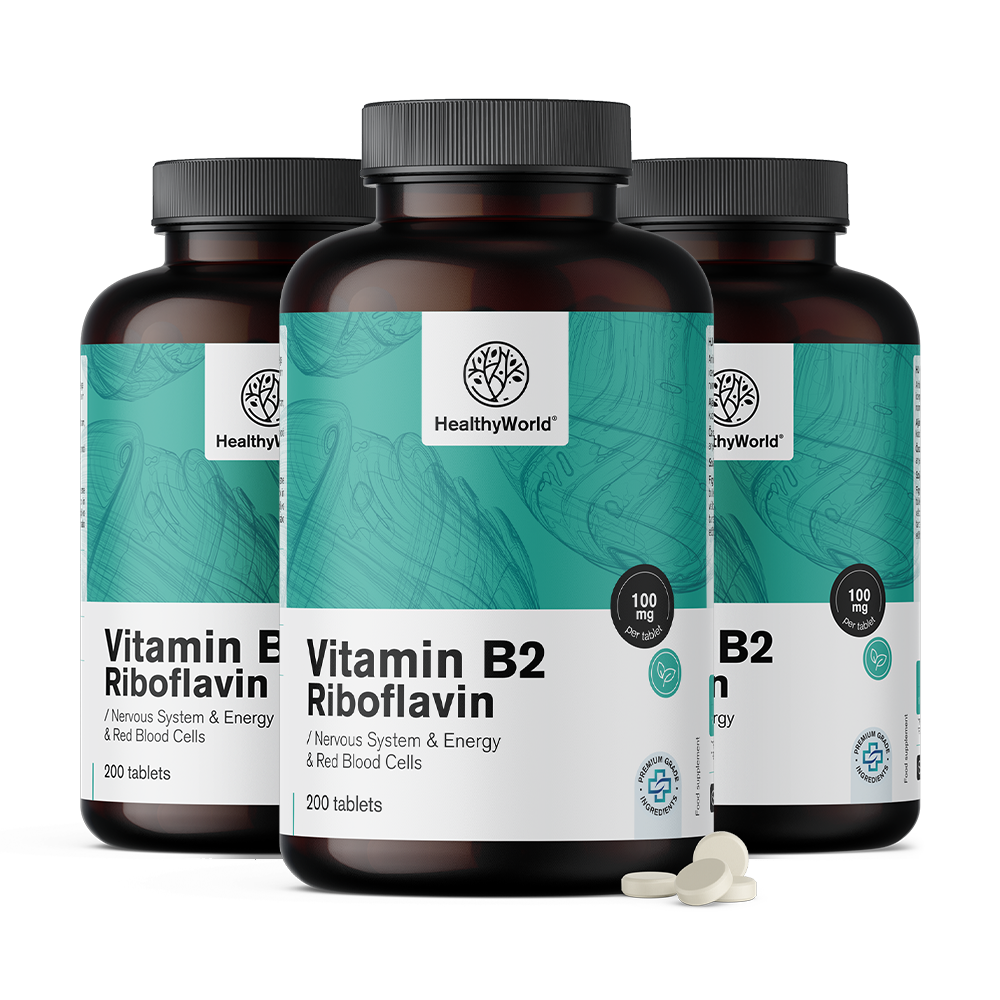 Vitamín B2 - riboflavin 100 mgVitamín B2 - riboflavin 100 mg